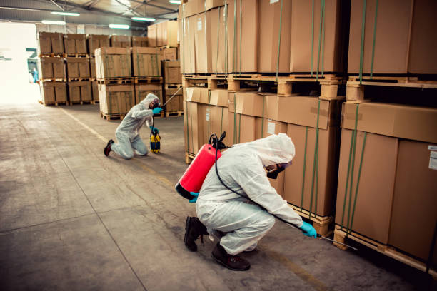 Best Termite Control Services  in Lindstrom, MN