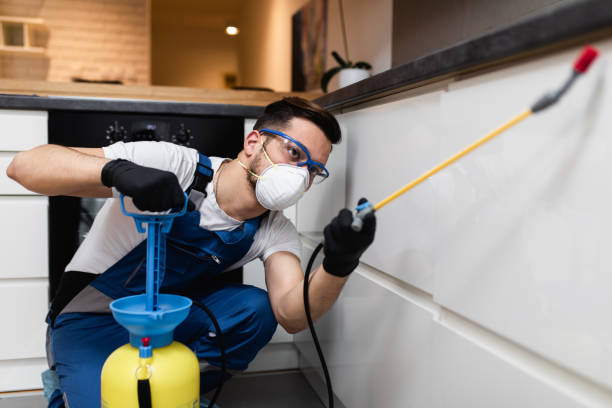 Best Pest Control Treatment  in Lindstrom, MN