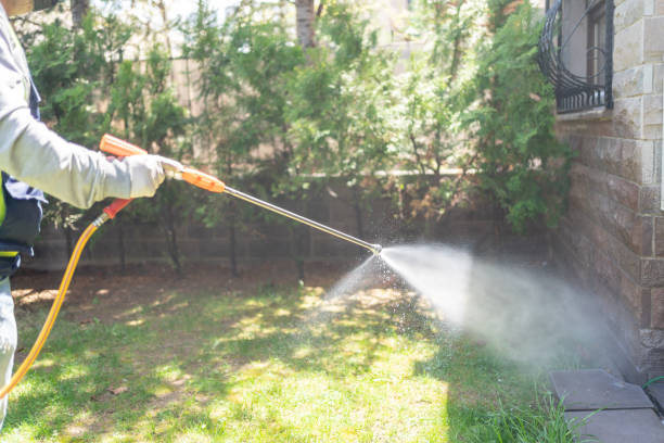 Best Pest Inspection Near Me  in Lindstrom, MN