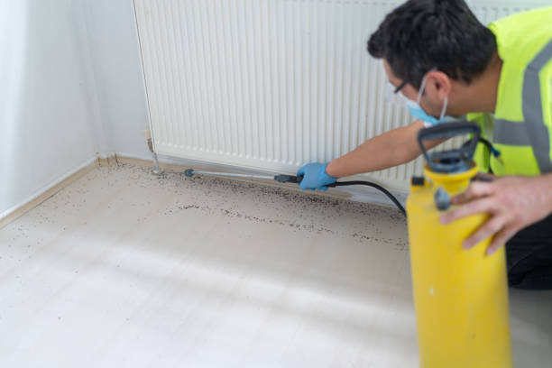 Best Best Pest Control Companies  in Lindstrom, MN