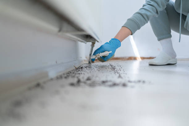 Pest Prevention Services in Lindstrom, MN